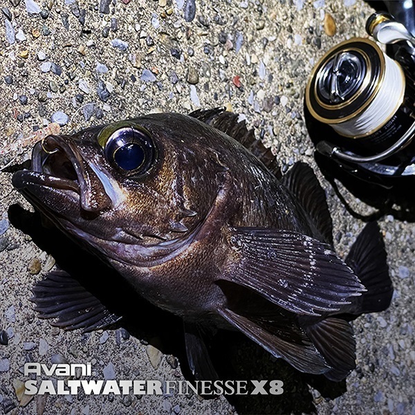 ソルトウォーターフィネスPE X8